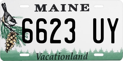 ME license plate 6623UY