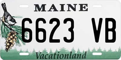 ME license plate 6623VB