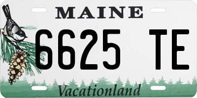 ME license plate 6625TE