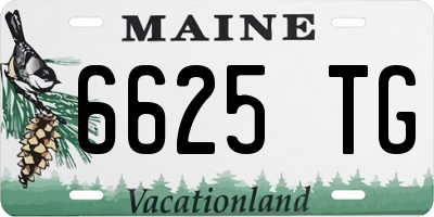 ME license plate 6625TG