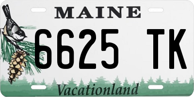 ME license plate 6625TK