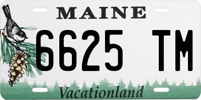 ME license plate 6625TM