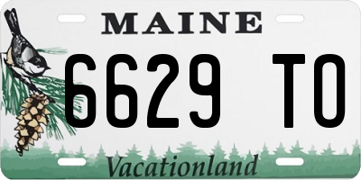 ME license plate 6629TO