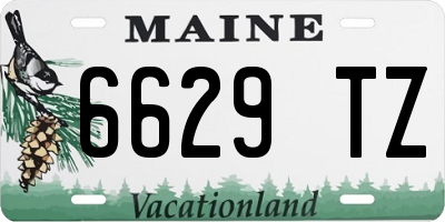 ME license plate 6629TZ
