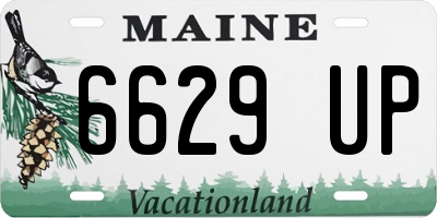 ME license plate 6629UP