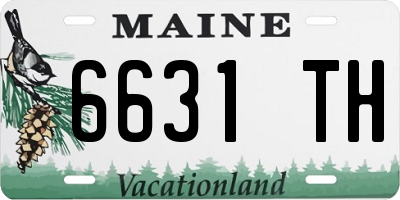 ME license plate 6631TH