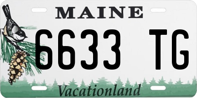 ME license plate 6633TG
