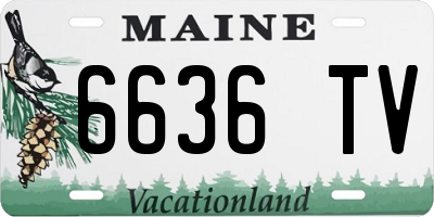 ME license plate 6636TV