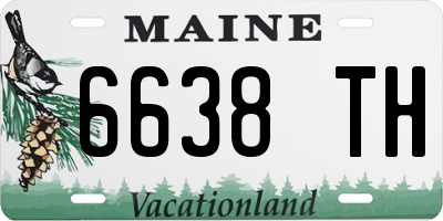 ME license plate 6638TH