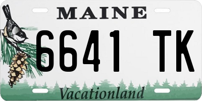 ME license plate 6641TK