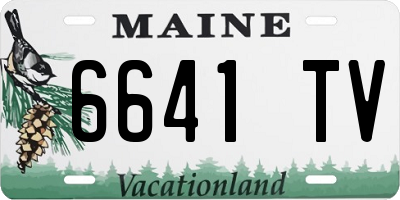ME license plate 6641TV