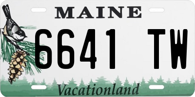 ME license plate 6641TW