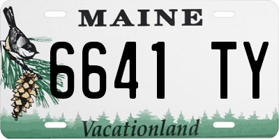 ME license plate 6641TY