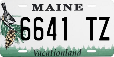 ME license plate 6641TZ