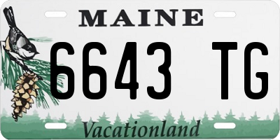 ME license plate 6643TG