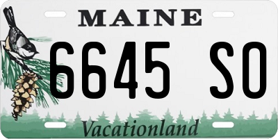 ME license plate 6645SO
