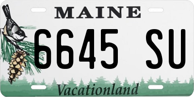 ME license plate 6645SU