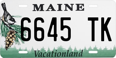 ME license plate 6645TK