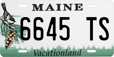 ME license plate 6645TS