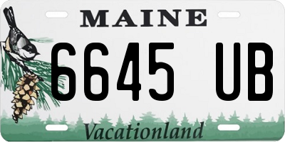ME license plate 6645UB
