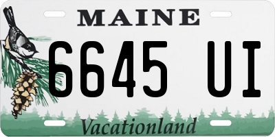 ME license plate 6645UI
