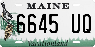 ME license plate 6645UQ