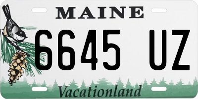 ME license plate 6645UZ