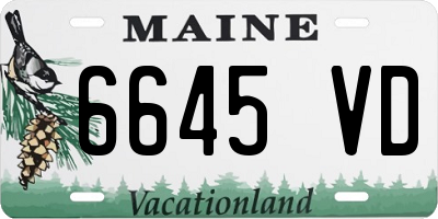 ME license plate 6645VD