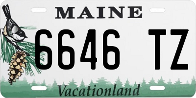 ME license plate 6646TZ