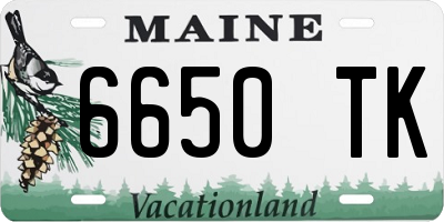 ME license plate 6650TK