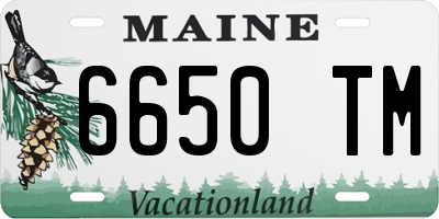 ME license plate 6650TM
