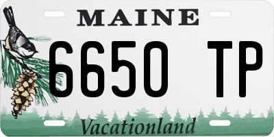 ME license plate 6650TP