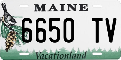 ME license plate 6650TV