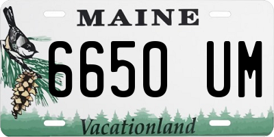 ME license plate 6650UM