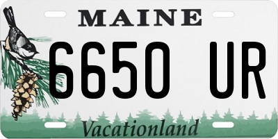 ME license plate 6650UR