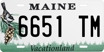 ME license plate 6651TM