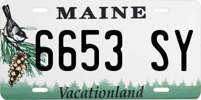 ME license plate 6653SY