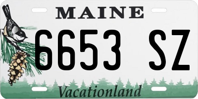 ME license plate 6653SZ