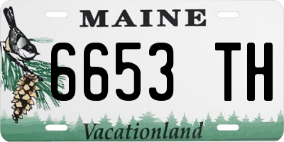 ME license plate 6653TH