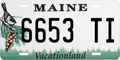 ME license plate 6653TI