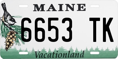 ME license plate 6653TK