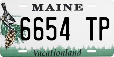 ME license plate 6654TP