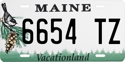 ME license plate 6654TZ
