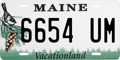 ME license plate 6654UM