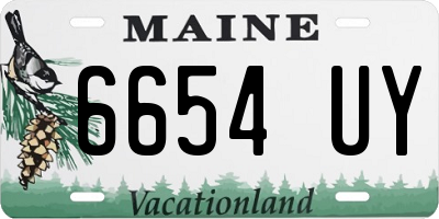 ME license plate 6654UY