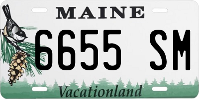 ME license plate 6655SM