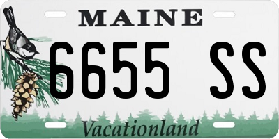 ME license plate 6655SS