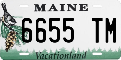 ME license plate 6655TM