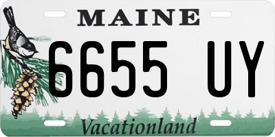 ME license plate 6655UY