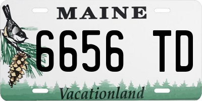 ME license plate 6656TD